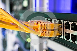 Information technology concept.  Utp cable connects to the interfaces of the main office router. Many yellow internet wires