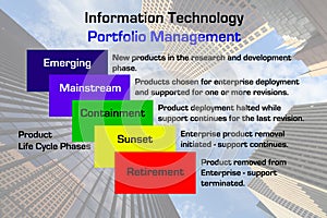 Information Technology Portfolio Management