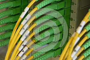 Information technology transfer by passive optical network