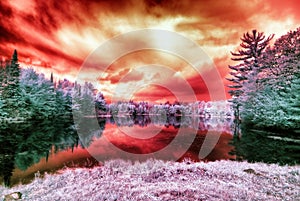 Infrared Alien Landscape Under a Blood Red Sky