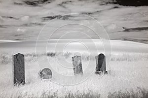 Infrared Cemetery