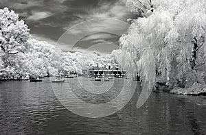 Infrared image of the Central Park