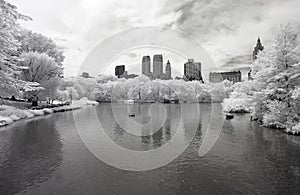 Infrared image of the Central Park