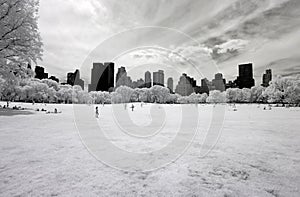 Infrared image of the Central Park