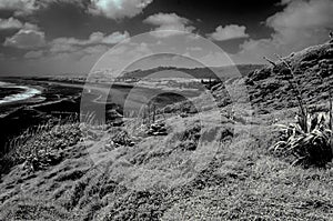 Infrared image of Muriwai beach in the evening