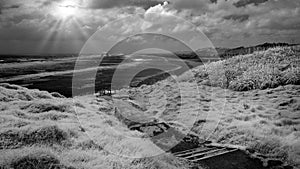 Infrared image of Muriwai beach in the evening