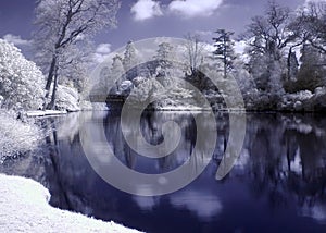 Infrared Lake