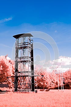 Infrared Landscape