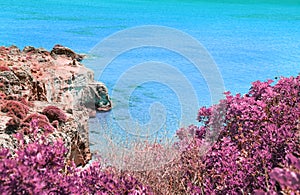 Infrared landscape of Lakonia sea Peloponnese Greece - Petrified forest landscape