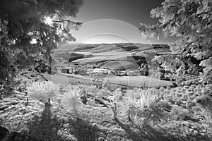 Infrared landscape of Tuscany