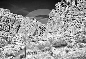 Infrared, Mohave National Preserve, Rings Loop trail