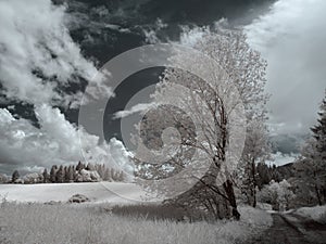 Infrared orava landscapes