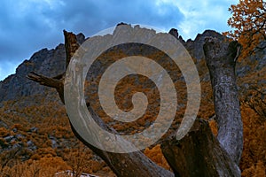 Infrared of the Organ Mountains.