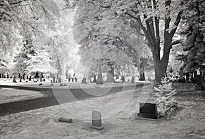 Infrared Photo of a Cemetery