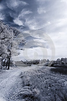 Infrared photo of unknown path
