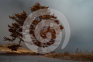 Infrared Photo of Foggy Afternoon At Big Sur