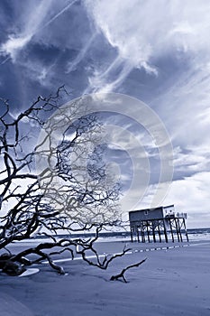 Infrared photo of house on stilts