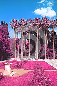 Infrared photo of the National Garden of Athens Greece