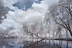 Infrared photography color, Vachirabenjatas Park, land mark of Bangkok, Thailand.