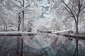 Infrared photography color, Vachirabenjatas Park, land mark of Bangkok, Thailand.