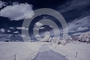 Infrared photography - ir photo of landscape with tree under sky with clouds - the art of our world and plants in the infrared cam