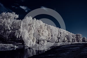 Infrared photography - ir photo of landscape with tree under sky with clouds - the art of our world and plants in the infrared cam