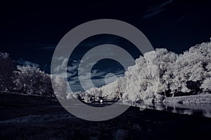 Infrared photography - ir photo of landscape with tree under sky with clouds - the art of our world and plants in the infrared cam