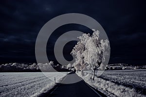 Infrared photography - ir photo of landscape with tree under sky with clouds - the art of our world and plants in the infrared cam