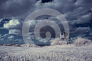 Infrared photography - ir photo of landscape with tree under sky with clouds - the art of our world and plants in the infrared cam