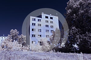 Infrared photography - ir photo of a marijuana leaf on a cannabis farm - hemp field