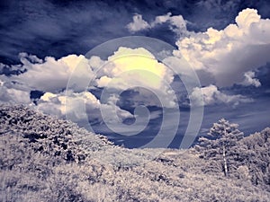 Infrared photography of South Ural Mountain