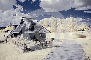 Infrared photography - surreal ir photo of landscape with trees under cloudy sky - the art of our world and plants in the invisibl