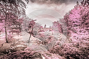 Infrared special effect in mistery garden fantasy