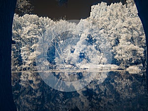 Infrared view at Danube floodplains in Slovakia