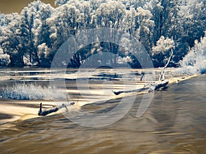 Infrared view at Danube floodplains in Slovakia