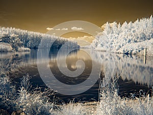 Infrared view at Danube`s Floodplains