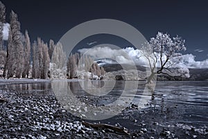 Infrared Wanaka lake