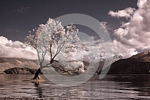 Infrared Wanaka lake