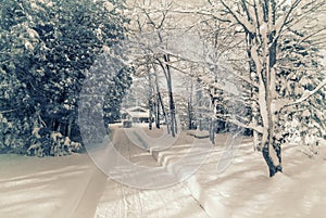 Infrared Winter House in a Forest