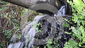 Infrastructure Neglect: Water Spilling from Broken Pipe in Dehradun, Uttarakhand, India