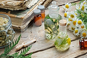 Infusion bottles, Chamomile flowers and Thuja plant, bottles of homeopathic globules and old books