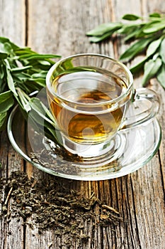 Infusion made from sage leaves. Medicinal herb Salvia officinalis