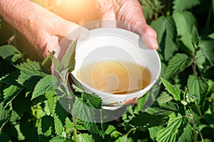 Infusion of nettles