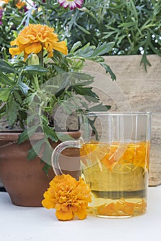 The infusion of the petals Tagetes