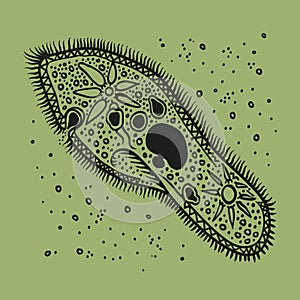 Infusoria slipper vector illustration. Bacteria and dirt.