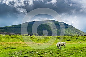 Ingleborough mountain. Yorkshire Dales National Park