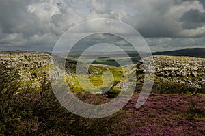 Ingleborough National Nature Reserve