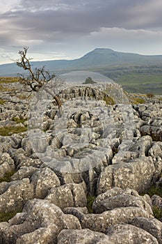 Ingleborough from Twistleton Scar in the Yorkshire Dales