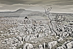 Ingleborough from Twistleton Scar in the Yorkshire Dales