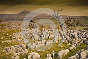 Ingleborough from Twistleton Scar in the Yorkshire Dales